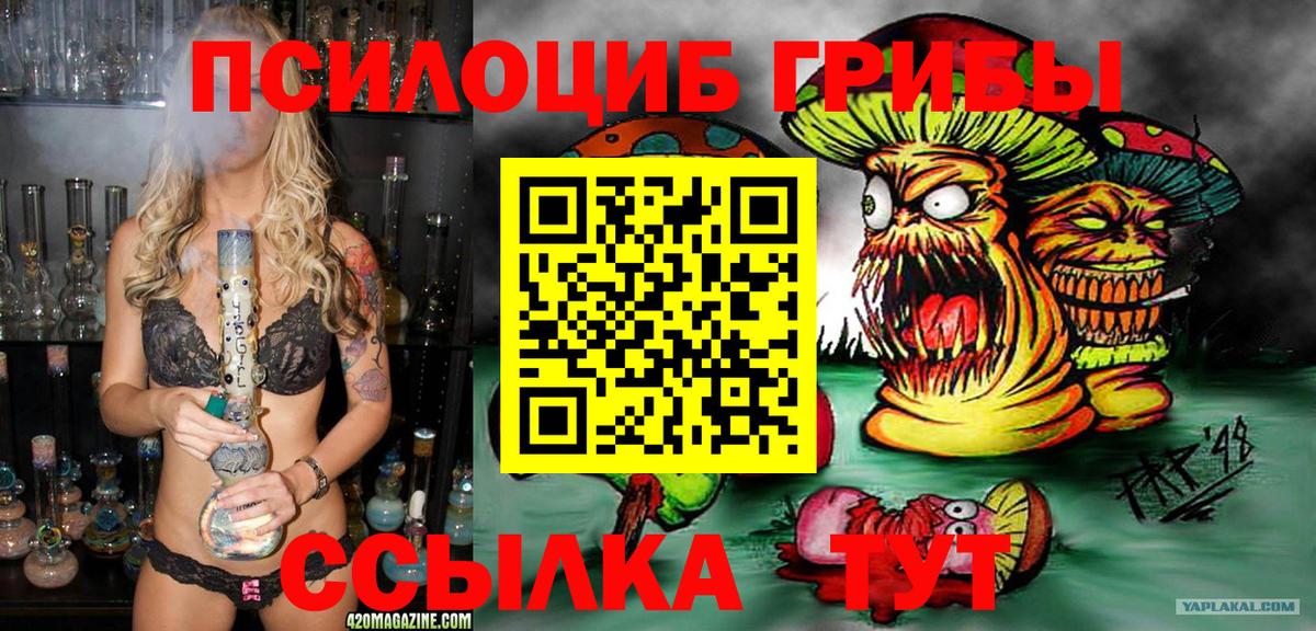 Псилоцибиновые грибы мухоморы Знаменск