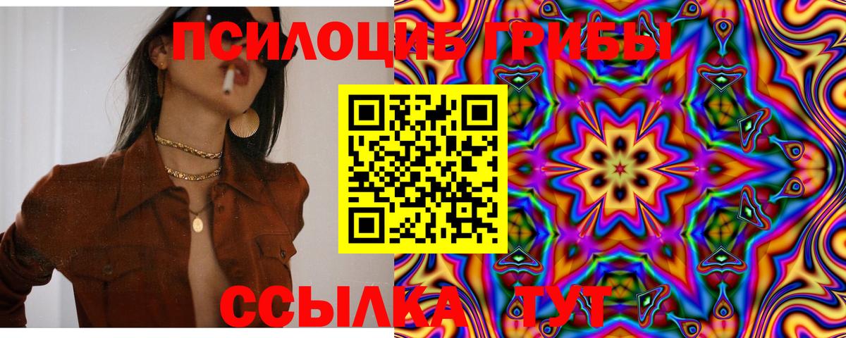 Галлюциногенные грибы Cubensis  Псилоцибиновые грибы GOLDEN TEACHER  Вход с VPN  Знаменск 